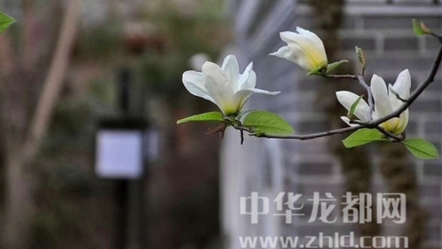 淮陽蓮舍，多了一份味道